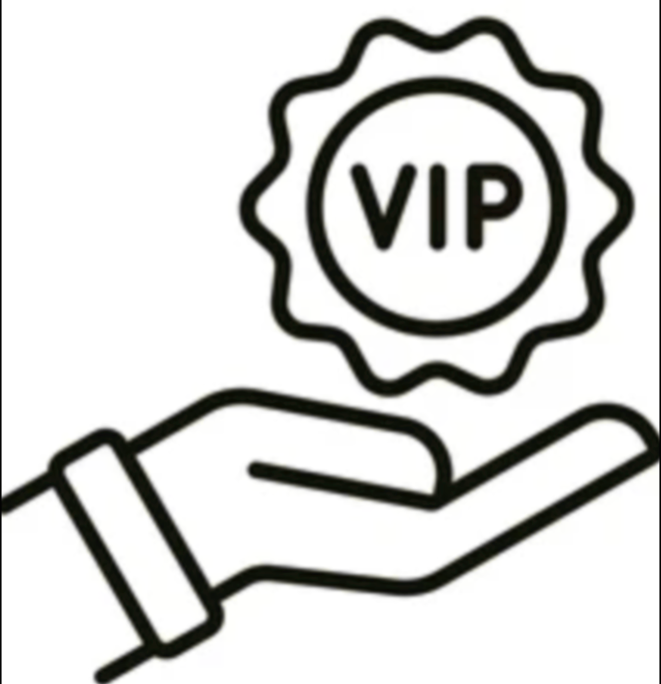 V.I.P Support